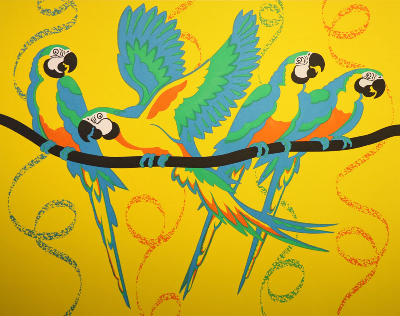 Macaw Carnival! by Josephine Sumner
